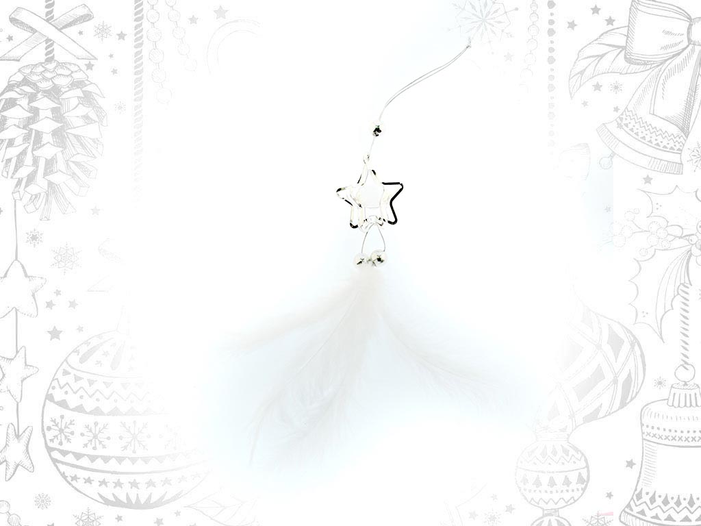 WHITE FEATHERS STAR ORNAMENT cod. 9308927