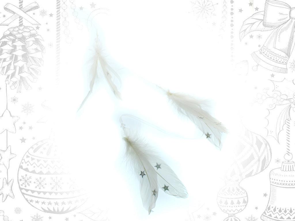 LONG WHITE FEATHERS ORNAMENT cod. 9308931